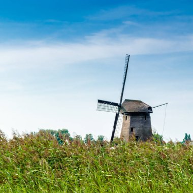 tipik Hollanda manzara