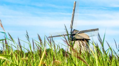 tipik Hollanda manzara