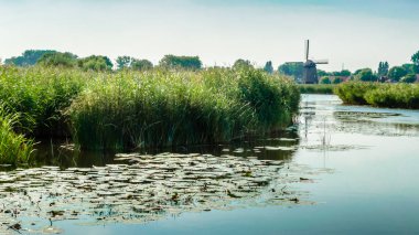 tipik Hollanda manzara