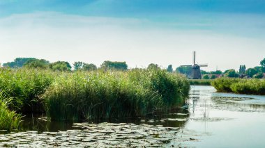 tipik Hollanda manzara