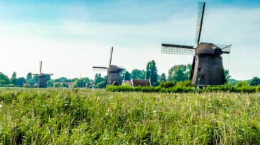 tipik Hollanda manzara