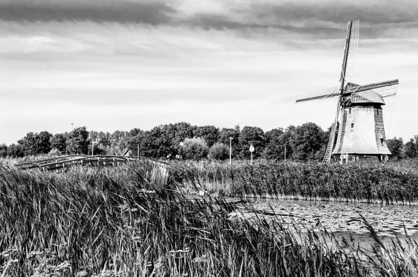 Blanco y negro Paisaje holandés —  Fotos de Stock