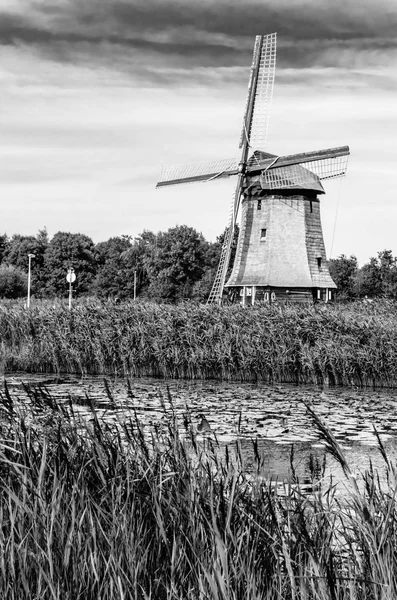 Μαύρο και άσπρο Ολλανδικό τοπίο — Φωτογραφία Αρχείου