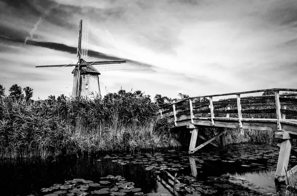 Paysage néerlandais noir et blanc — Photo