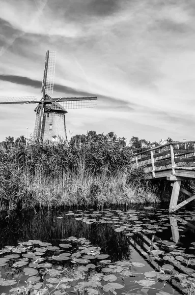 Blanco y negro Paisaje holandés —  Fotos de Stock