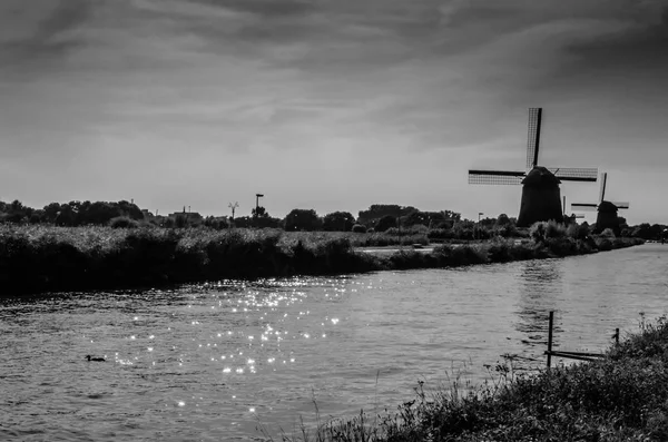 Het Nederlandse landschap zwart-wit — Stockfoto