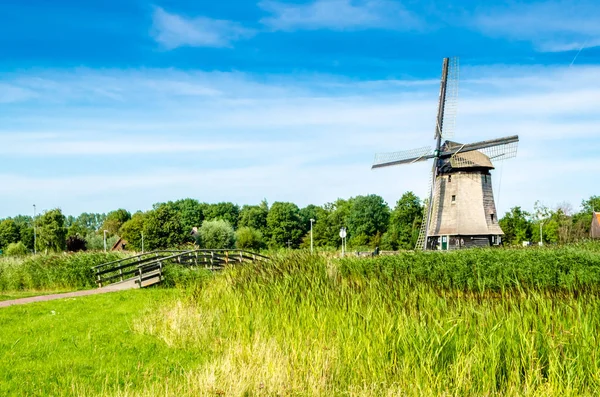 Paisagem típica holandesa — Fotografia de Stock