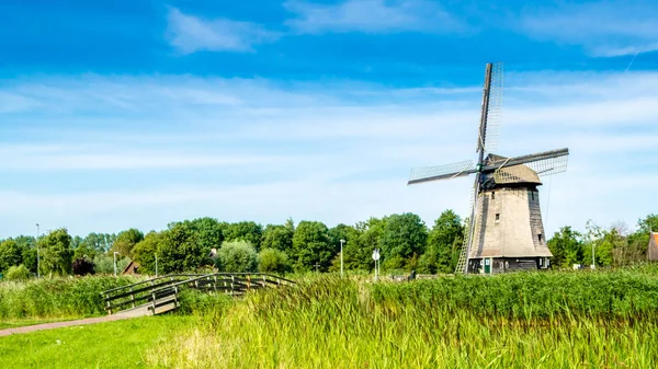 Paisagem típica holandesa — Fotografia de Stock