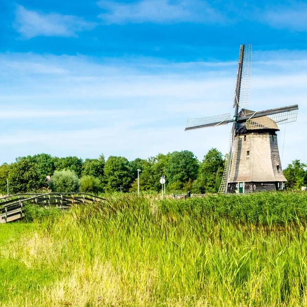 tipik Hollanda manzara