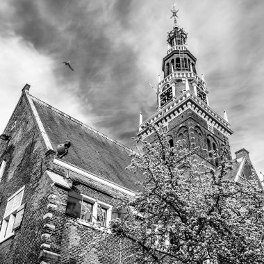 Alkmaar, Hollanda Mimarlık