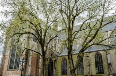 Kilise Alkmaar, Hollanda