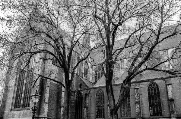 Igreja em Alkmaar, Países Baixos — Fotografia de Stock