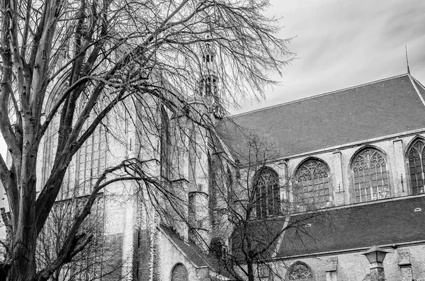 アルクマール、オランダの教会 — ストック写真
