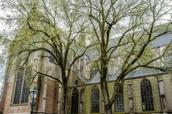 Kyrkan i Alkmaar, Nederländerna — Stockfoto