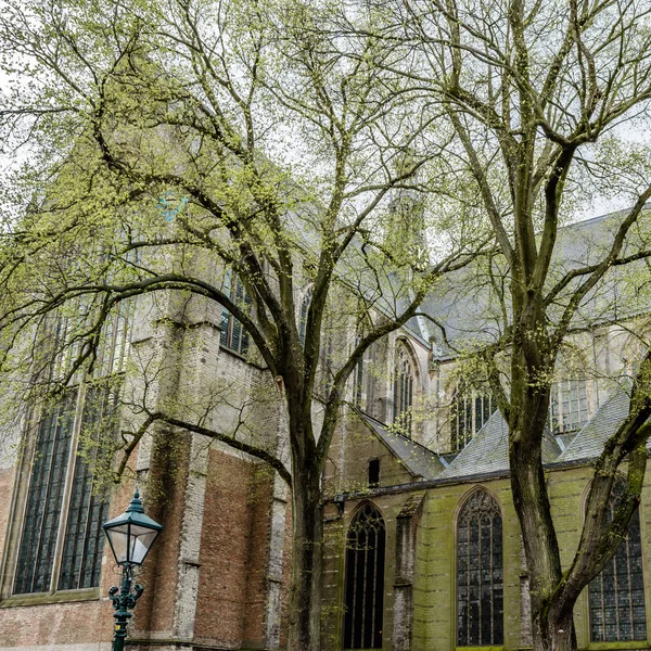 Kyrkan i Alkmaar, Nederländerna — Stockfoto