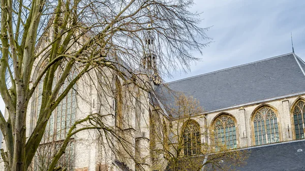 Kostel v Alkmaar, Nizozemsko — Stock fotografie