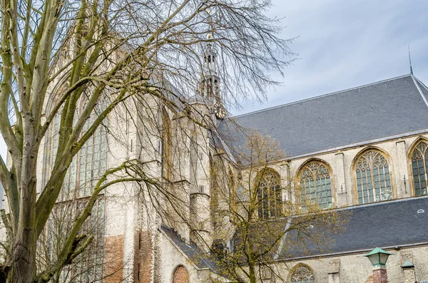 Kostel v Alkmaar, Nizozemsko — Stock fotografie