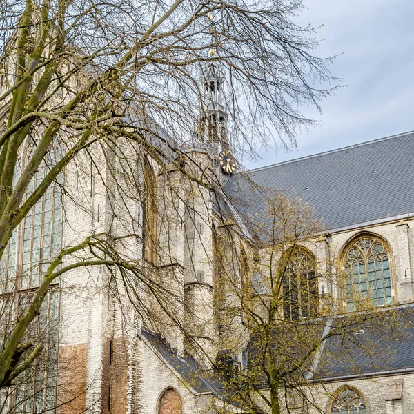 Kostel v Alkmaar, Nizozemsko — Stock fotografie
