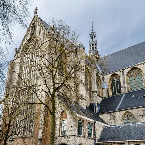 Kilise Alkmaar, Hollanda