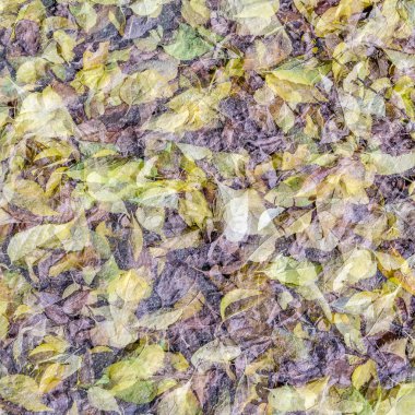 renkli sonbahar arka plan