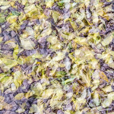 renkli sonbahar arka plan