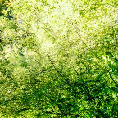 renkli sonbahar arka plan