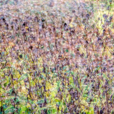 renkli sonbahar arka plan