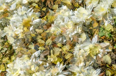 renkli sonbahar arka plan