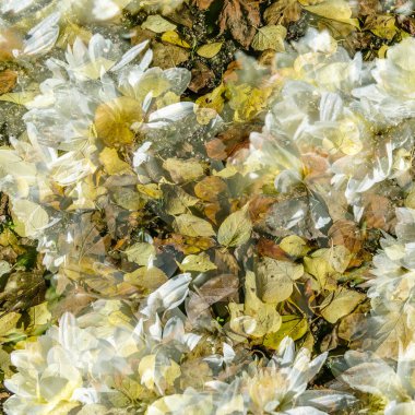 renkli sonbahar arka plan