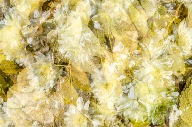 renkli sonbahar arka plan