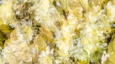 renkli sonbahar arka plan