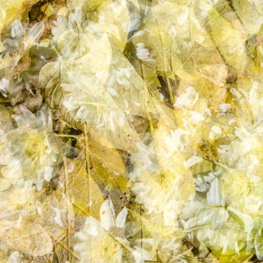 renkli sonbahar arka plan