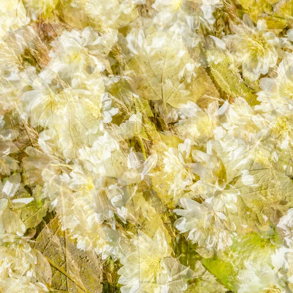 renkli sonbahar arka plan