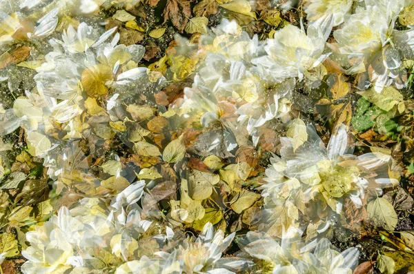 renkli sonbahar arka plan