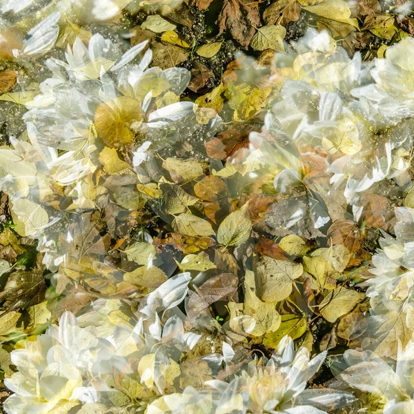 renkli sonbahar arka plan