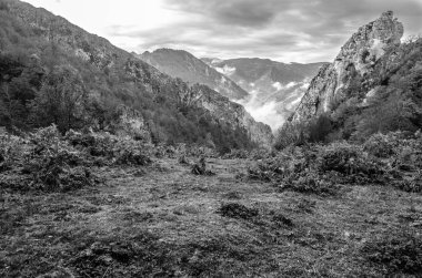 sonbahar dağ manzarası