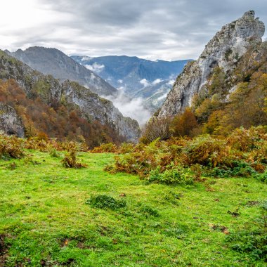 sonbahar dağ manzarası 