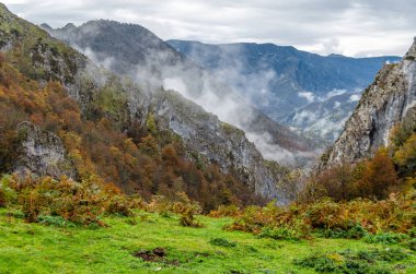 sonbahar dağ manzarası 