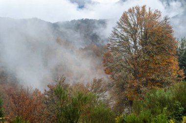 sonbahar dağ manzarası 