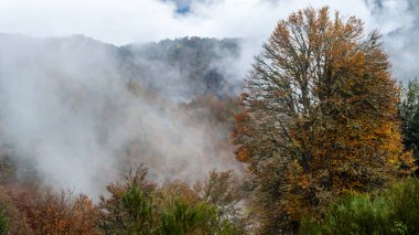 sonbahar dağ manzarası 