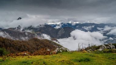 sonbahar dağ manzarası 