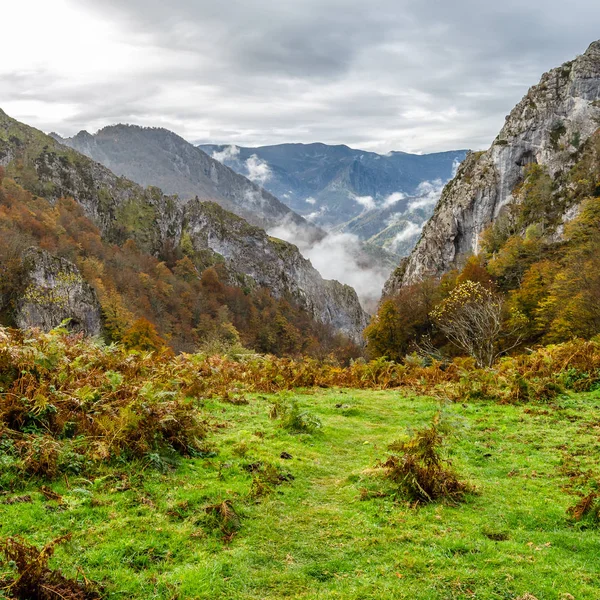 Fjellandskap høst – stockfoto