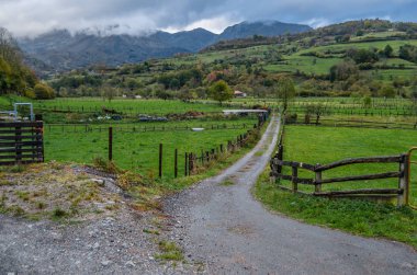 Kuzey İspanya dağ manzarası