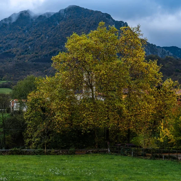 Villaggio di montagna rustico nel nord della Spagna — Foto Stock