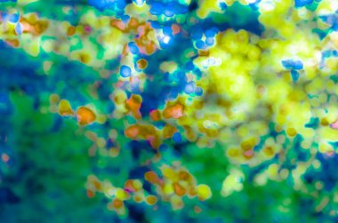 Renkli soyut arkaplan