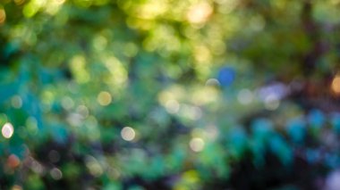 Bulanık sonbahar renkleri