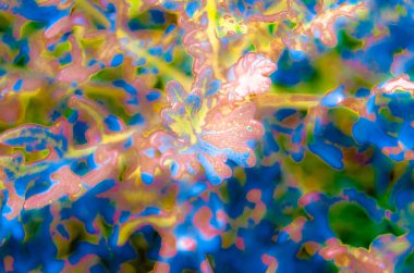 Renkli soyut arkaplan