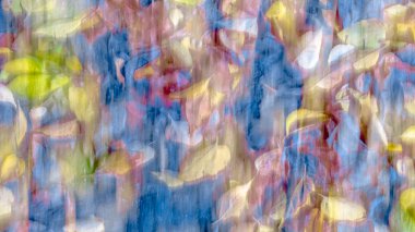 Renkli soyut arkaplan