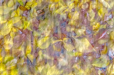 Renkli soyut arkaplan