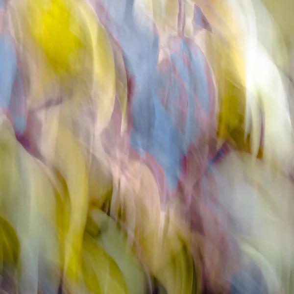 Fundo abstrato colorido — Fotografia de Stock